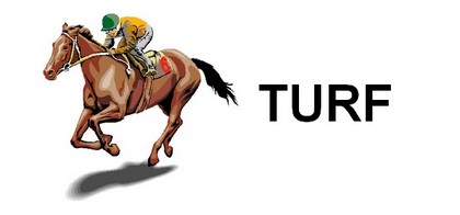 turf11.jpg